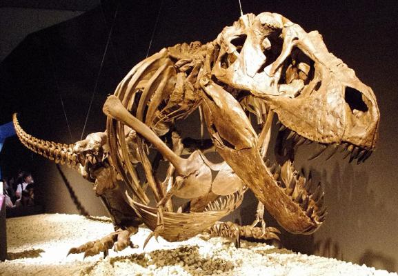 8. I dinosauri ci hanno aiutato a costruire le piramidi