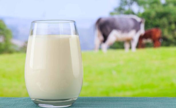 Ogni latte ha il suo sapore