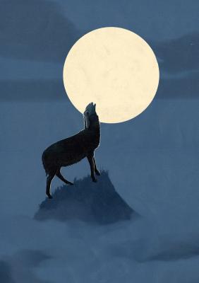 Il lupo che ulula alla luna?