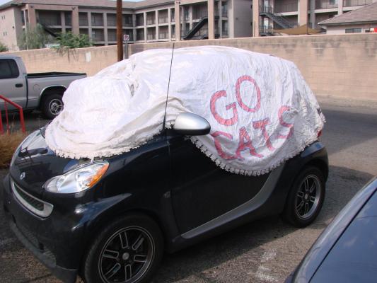 Copri-auto