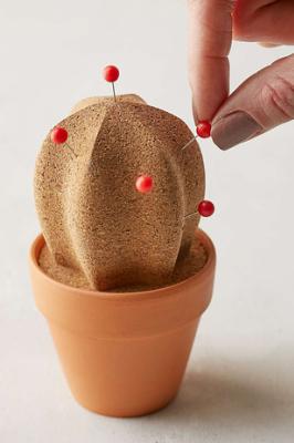 Un cactus per appuntare foto e appunti