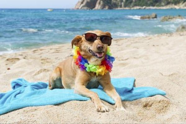 “Che caldo!”  