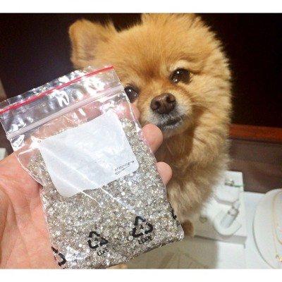 Gioielli e peluche!