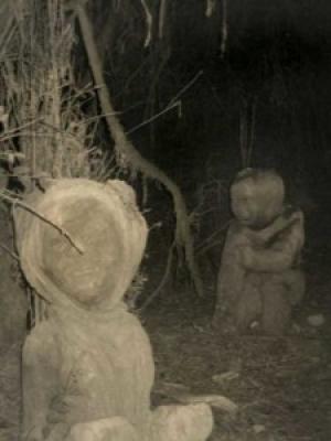 Totem nel bosco