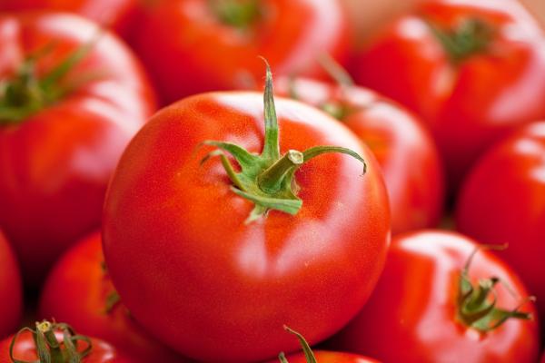 Pomodori