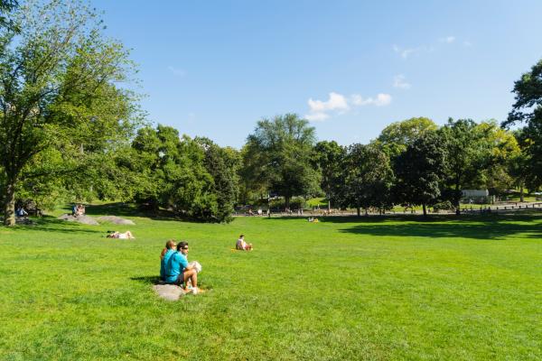Al parco