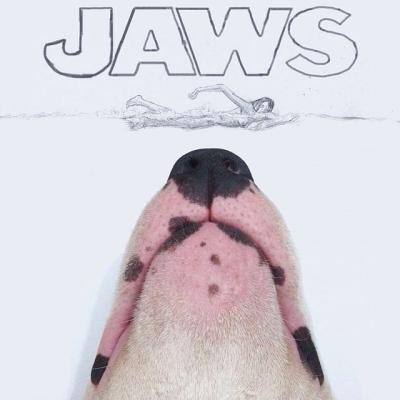 JAWS!