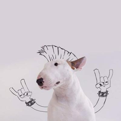 Il cane metallaro!