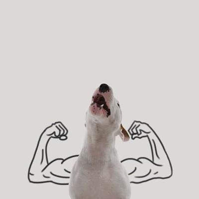 I muscoli di Jimmy!