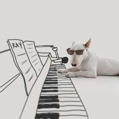 Lezioni di piano!