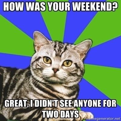 Il weekend del timido