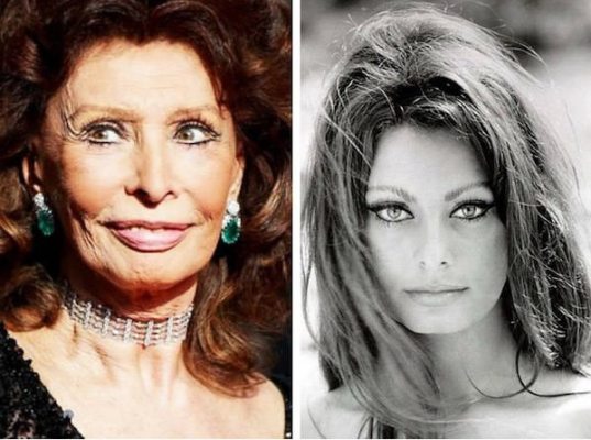 Sophia Loren