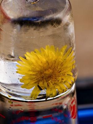 Acqua calda