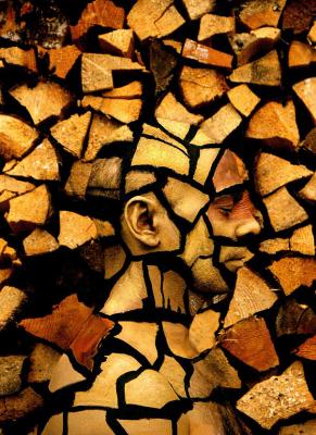 Sembra fatto di pezzi di legno...