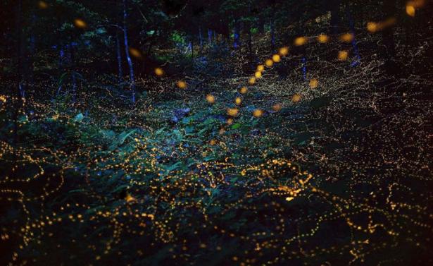 Spettacoli di luce incredibili