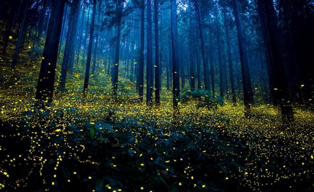 La natura ci lascia sempre a bocca aperta