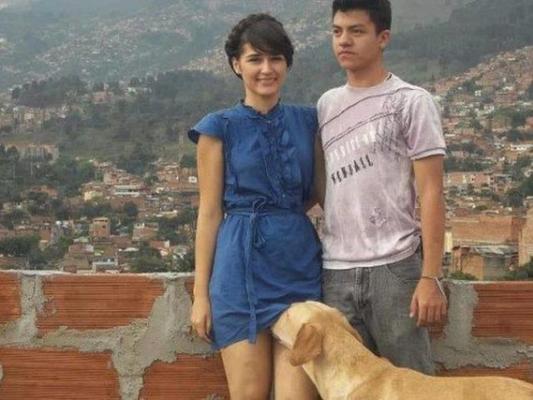Cane impertinente