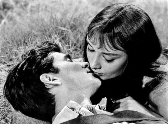 Verdi dimore (1959)