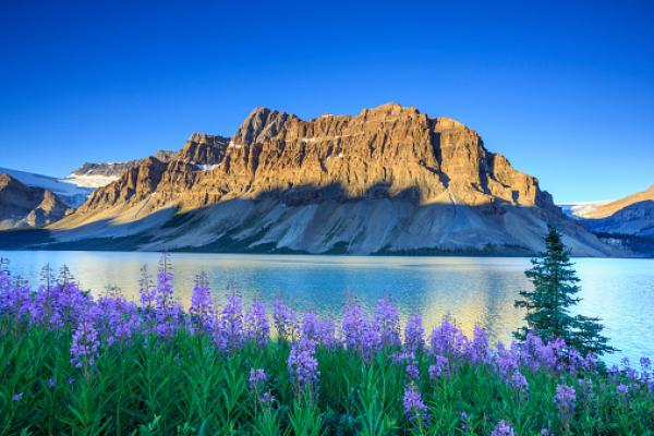6) Canada