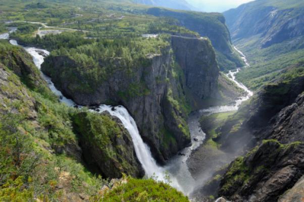 4) Norvegia