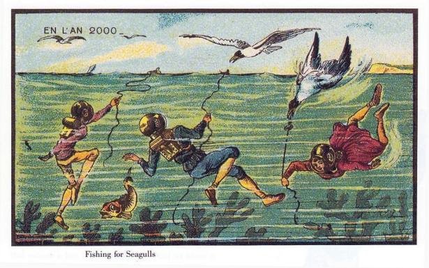 A pesca… di gabbiani! 