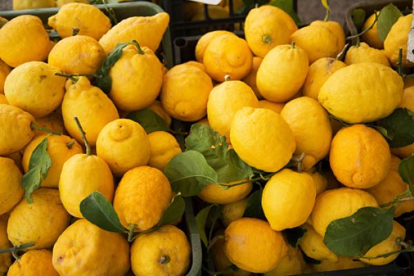  Il limone