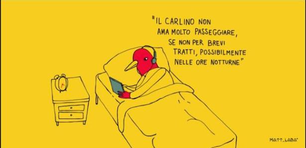 4) Risultato… 
