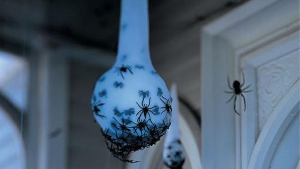 Invasione di ragni sulla lampadina