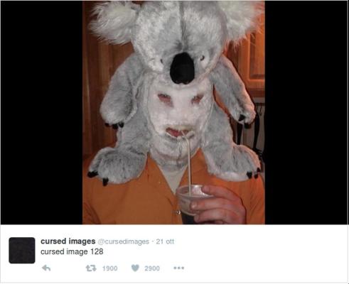 Maschera da koala