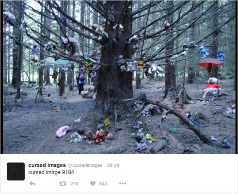 Peluche appesi all’albero