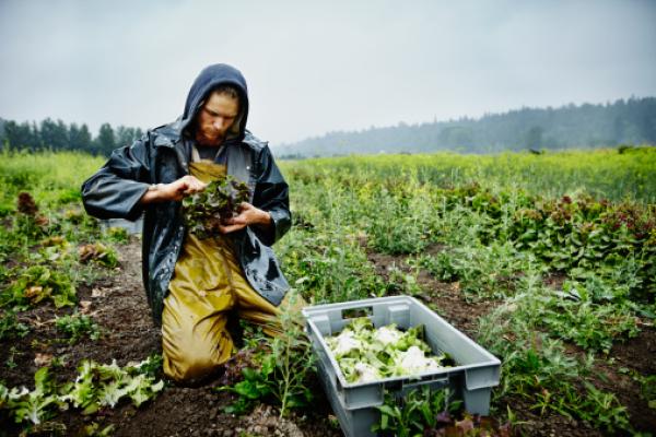 5) Agricoltore