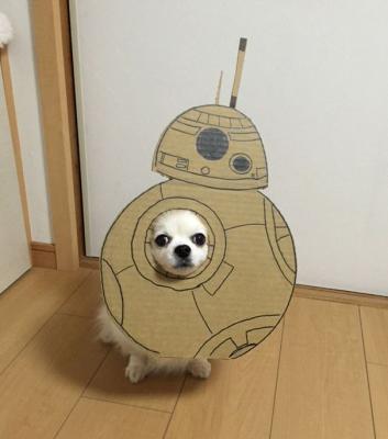 R2-D2