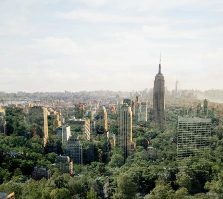6. New York