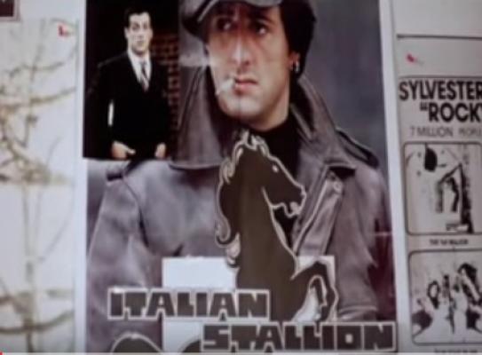 6. Chi è lo stallone italiano? 