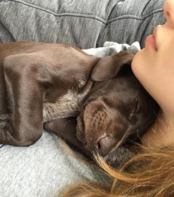 Lei e il suo cuccioli