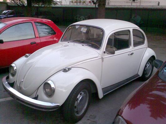 Volkswagen Maggiolino