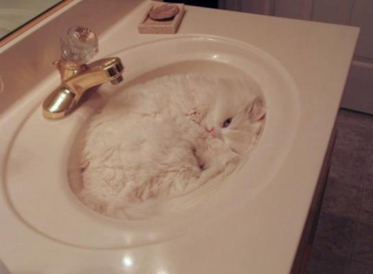 Una sorpresa in bagno