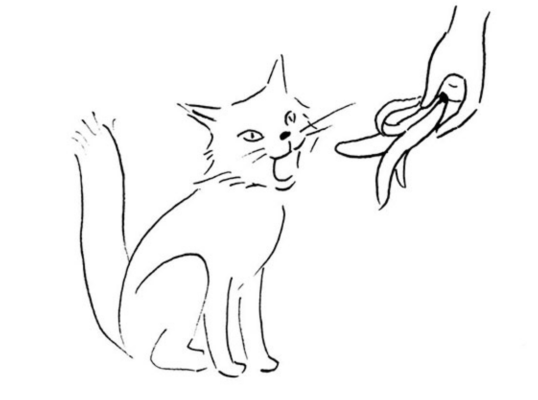 Il gatto si aspetta di mangiare la banana...