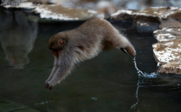 Un salto in acqua