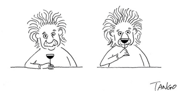 Lion Einstein