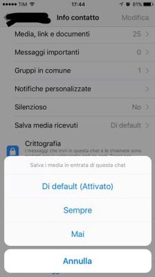 Scegliere se salvare i media o meno 
