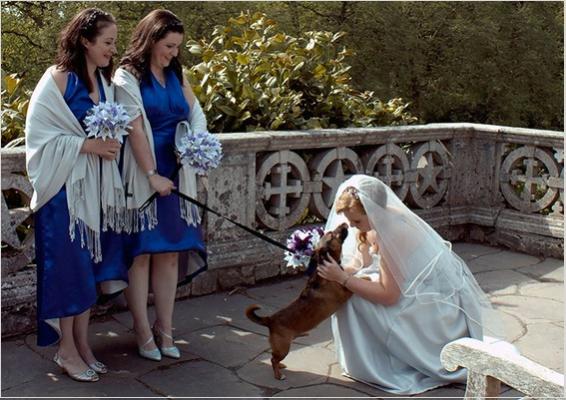 Avere il proprio cane nel giorno del matrimonio rende tutto più speciale