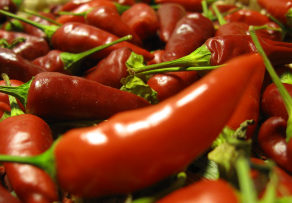 8) Il peperoncino