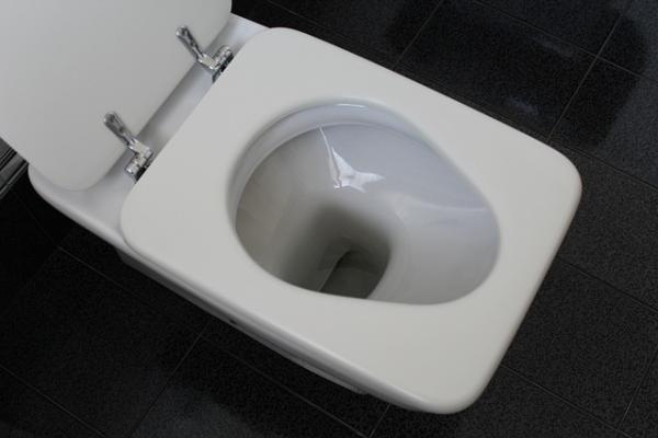 3) La tavoletta del bagno