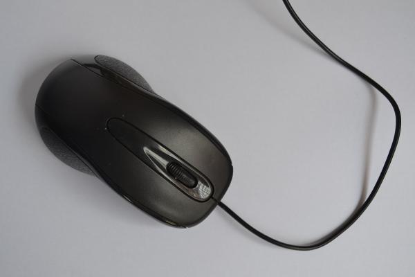 8. Mouse 