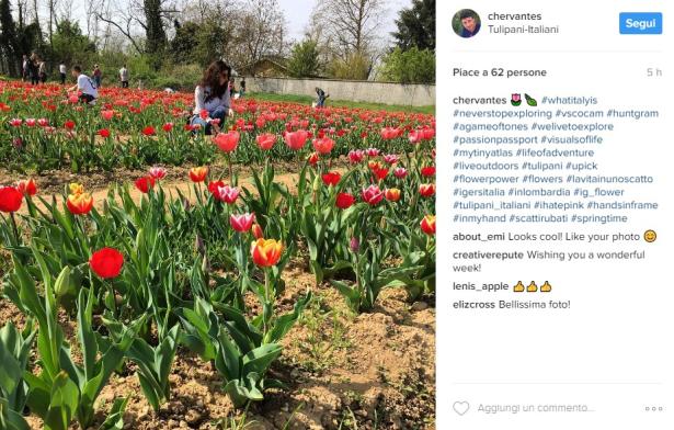 Dato l'incredibile afflusso di pubblico, la prenotazione della visita per godersi la piena fioritura è ormai indispensabile!