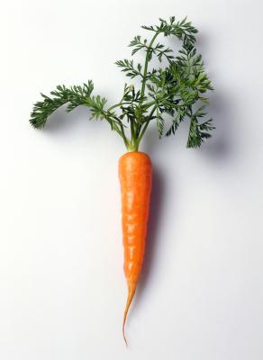2. Mini-carote