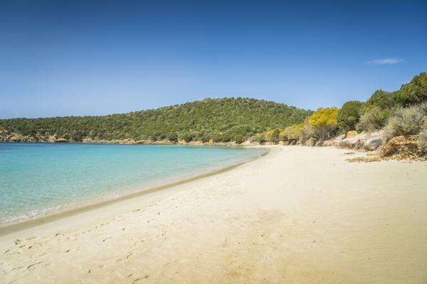 10. Qual è il paese con la costa più lunga del mondo?