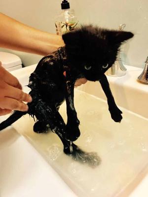 7. Adorabile anche da bagnato