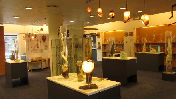 5.	Museo fallologico – Reykjavik 